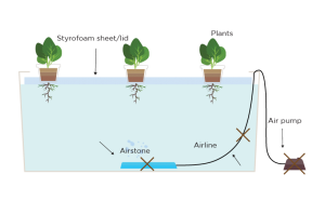 Kratky method does not use an air stone